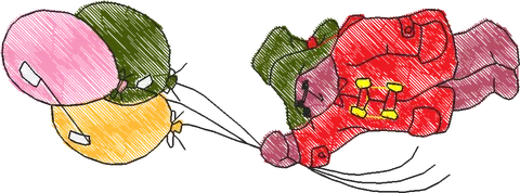 Paddington Bear3 (15)